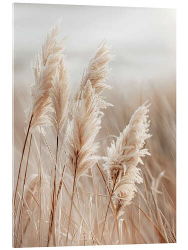 Akrylbilde Pampas grass by the sea