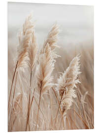 Foam board print Pampas grass by the sea