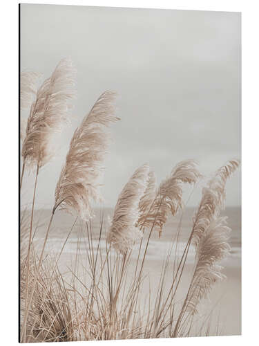 Cuadro de aluminio Pampas grass on the beach