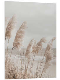 Foam board print Pampas grass on the beach