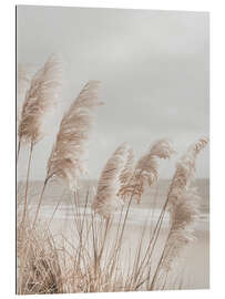 Gallery print Pampas grass on the beach