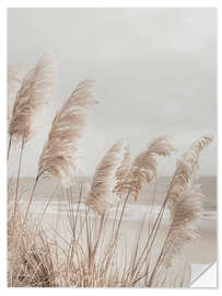 Sticker mural Pampas grass on the beach