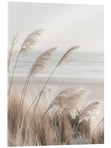 Acrylic print Pampas grass on the coast