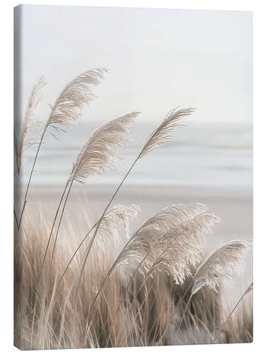 Canvas print Pampas grass on the coast