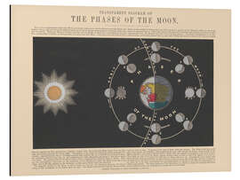 Aluminiumsbilde The Phases of the Moon, 1846-60