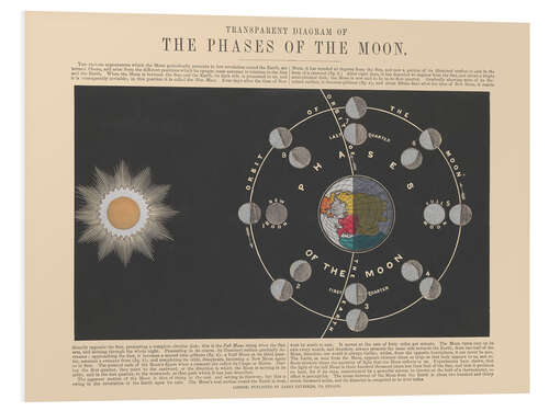 Tableau en PVC The Phases of the Moon, 1846-60