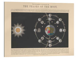 Gallery print The Phases of the Moon, 1846-60