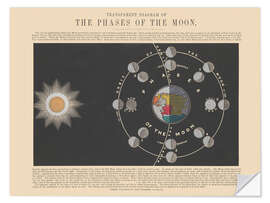 Naklejka na ścianę The Phases of the Moon, 1846-60