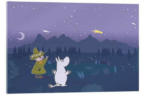 Acrylic print Moomintroll and Snufkin count shooting stars