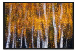 Gerahmter Kunstdruck Vorhang aus Blattgold