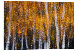 Magnettafel Vorhang aus Blattgold