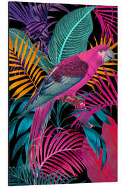 Print på aluminium Ecstatic Jungle Parrot