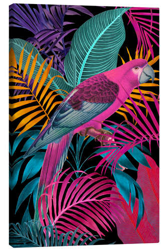 Canvas print Ecstatic Jungle Parrot