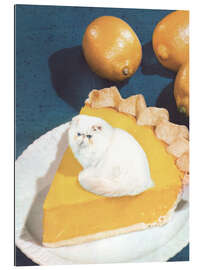 Galleritryk Lemon Meow Pie