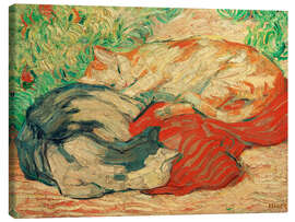 Canvas print Cats on red cloth, 1910