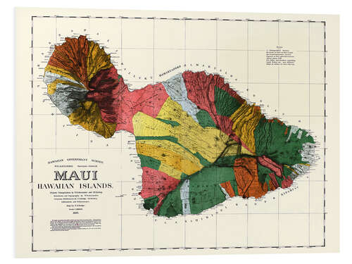 Foam board print Map of Maui, Hawaiian islands 1885