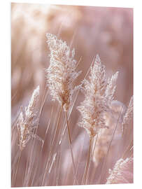 Foam board print Pampas grass nature idyll