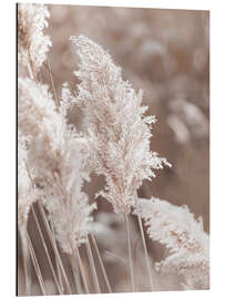 Quadro em alumínio Pampas grass, detail