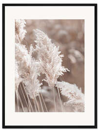 Gerahmter Kunstdruck Pampasgras im Detail