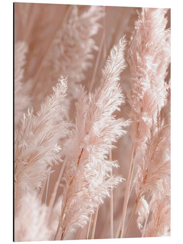 Cuadro de aluminio Beautiful pampas grass