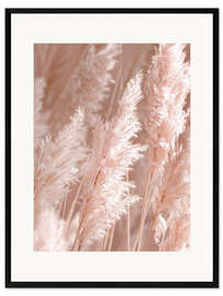 Framed art print Beautiful pampas grass