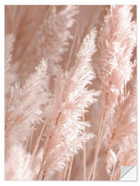 Selvklebende plakat Beautiful pampas grass