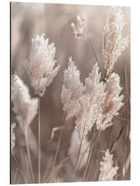 Tableau en aluminium Idyllic pampas grass