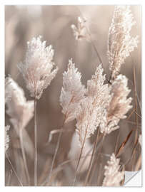 Sticker mural Idyllic pampas grass