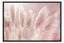 Gerahmter Kunstdruck Fantastisches Pampasgras