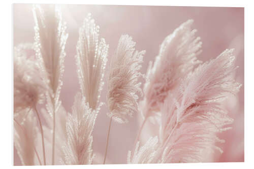 Stampa su PVC Fantastic pampas grass