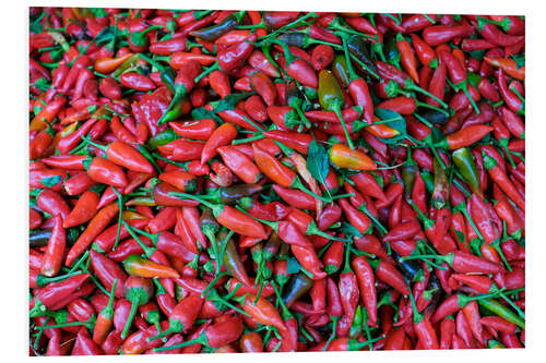 PVC print Red hot chiles in the market, Fes, Morocco