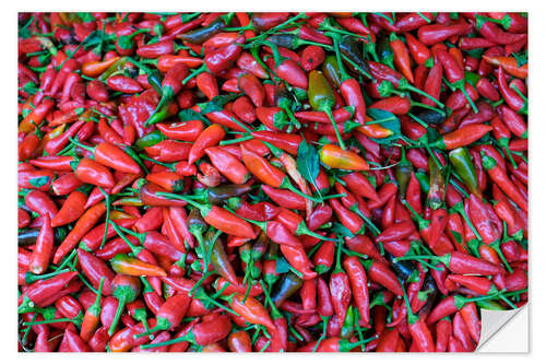 Wall sticker Red hot chiles in the market, Fes, Morocco