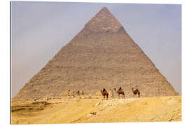 Gallery Print Gizeh, Kamelen an der Großen Pyramide