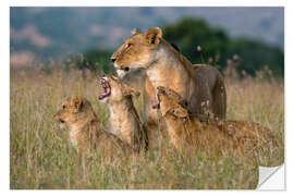 Wandsticker Löwin wird von ihren Jungen begrüßt, Masai Mara, Kenia