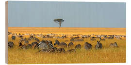 Wood print Herd of Plains zebras, Masai Mara National Reserve, Kenya