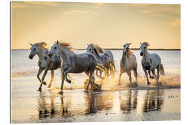 Gallery Print Camargue-Pferde laufen bei Sonnenaufgang durchs Wasser