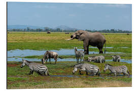 Magnettafel Elefant, Zebras und ein Gnu an einem Wasserloch, Amboseli-Nationalpark