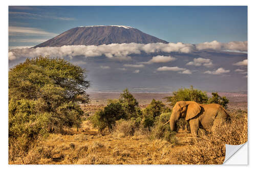 Sticker mural Kilimanjaro with Elephant, Amboseli National Park, Africa