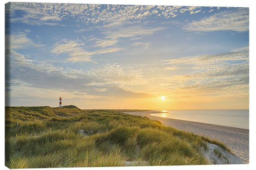 Stampa su tela Summer evening on Sylt