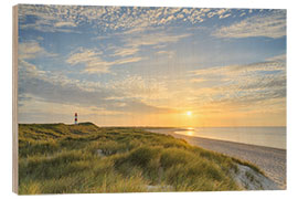 Obraz na drewnie Summer evening on Sylt