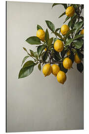 Aluminium print Lemons