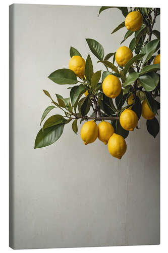 Canvas print Lemons