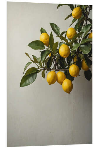 Stampa su PVC Lemons