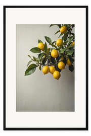 Gerahmter Kunstdruck Zitronen