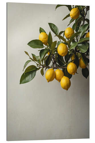 Quadro em plexi-alumínio Lemons