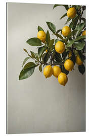 Gallery print Lemons