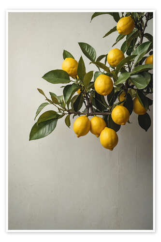 Poster Lemons