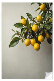 Wall sticker Lemons