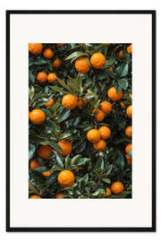 Gerahmter Kunstdruck Orangen