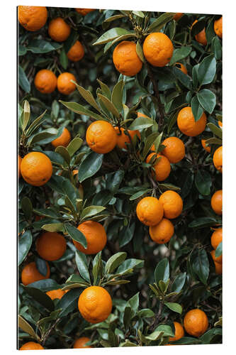 Gallery print Oranges